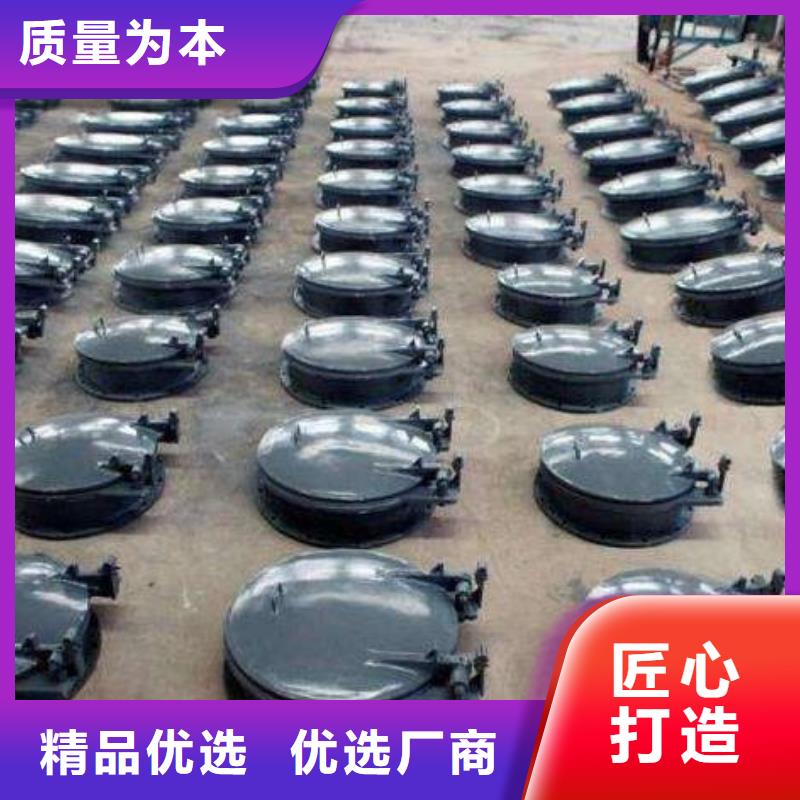【拍门铸铁闸门厂家按需定制】