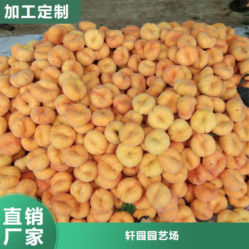 桃,苹果苗用心做好细节