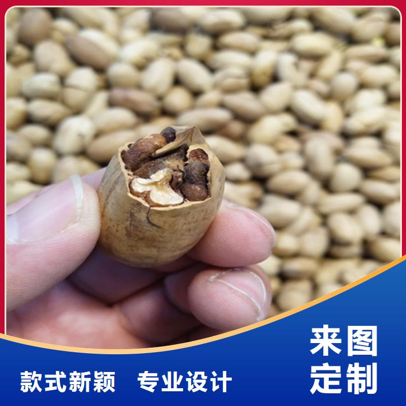 碧根果,苹果苗品质优选