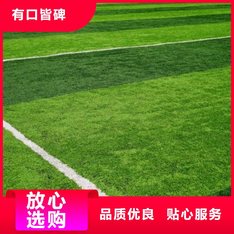  人造草坪采购