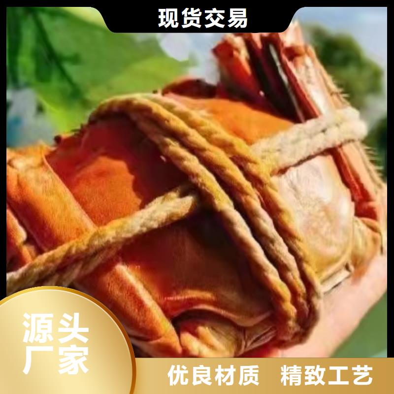 阳澄湖农家乐哪家好吃