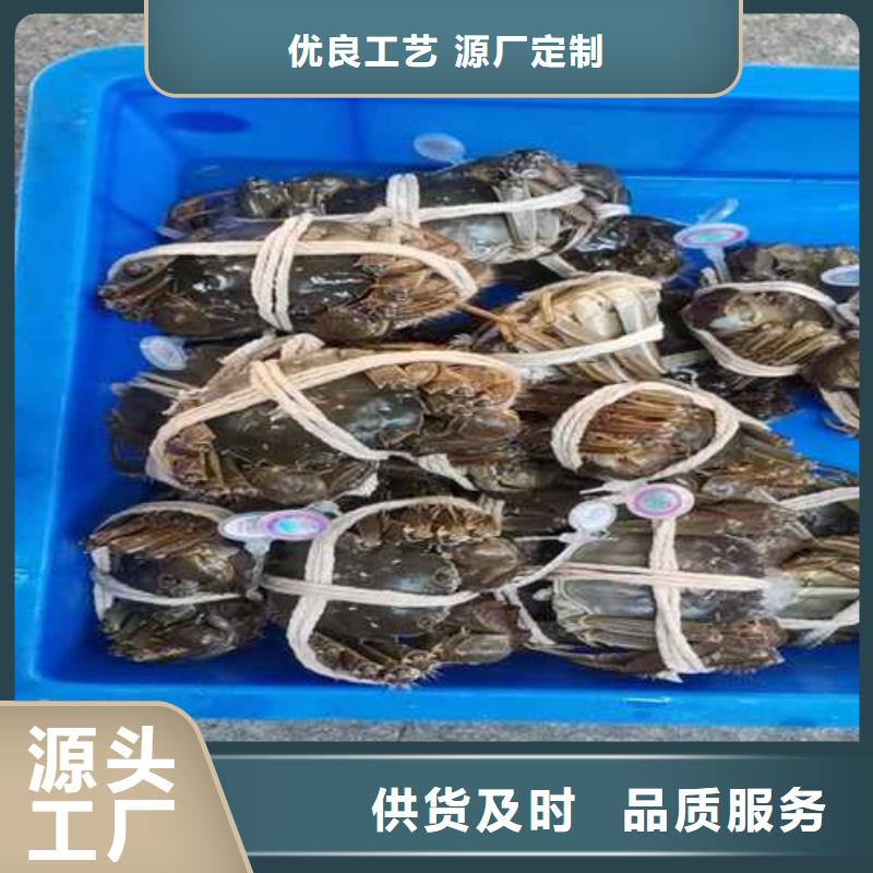 阳澄湖大闸蟹哪家正宗澄迈县