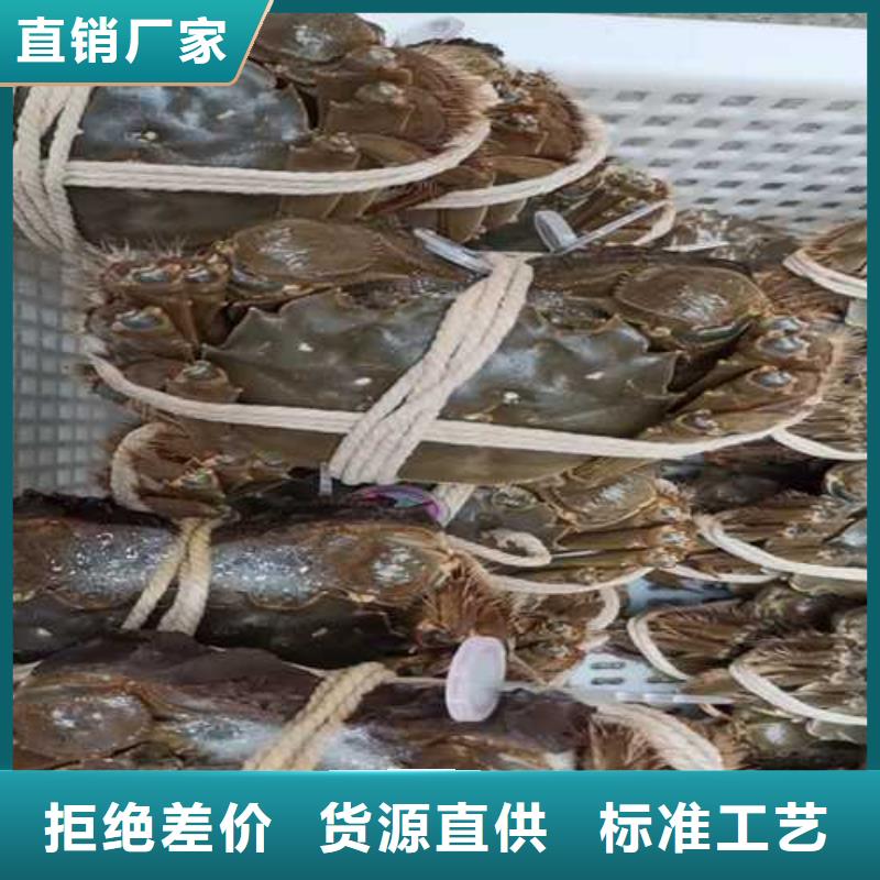 去阳澄湖大闸蟹哪里比较正宗在苏州阳澄湖