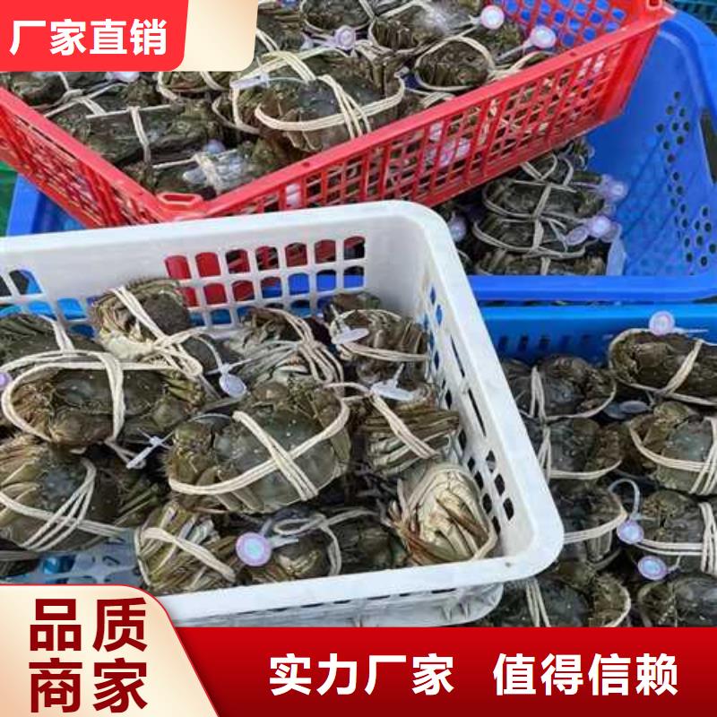 阳澄湖大闸蟹哪家正宗澄迈县