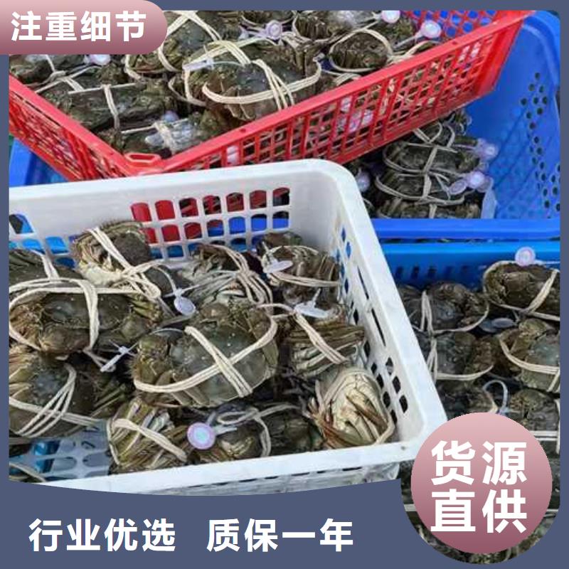 阳澄湖吃蟹哪里正宗好吃苏州这里好