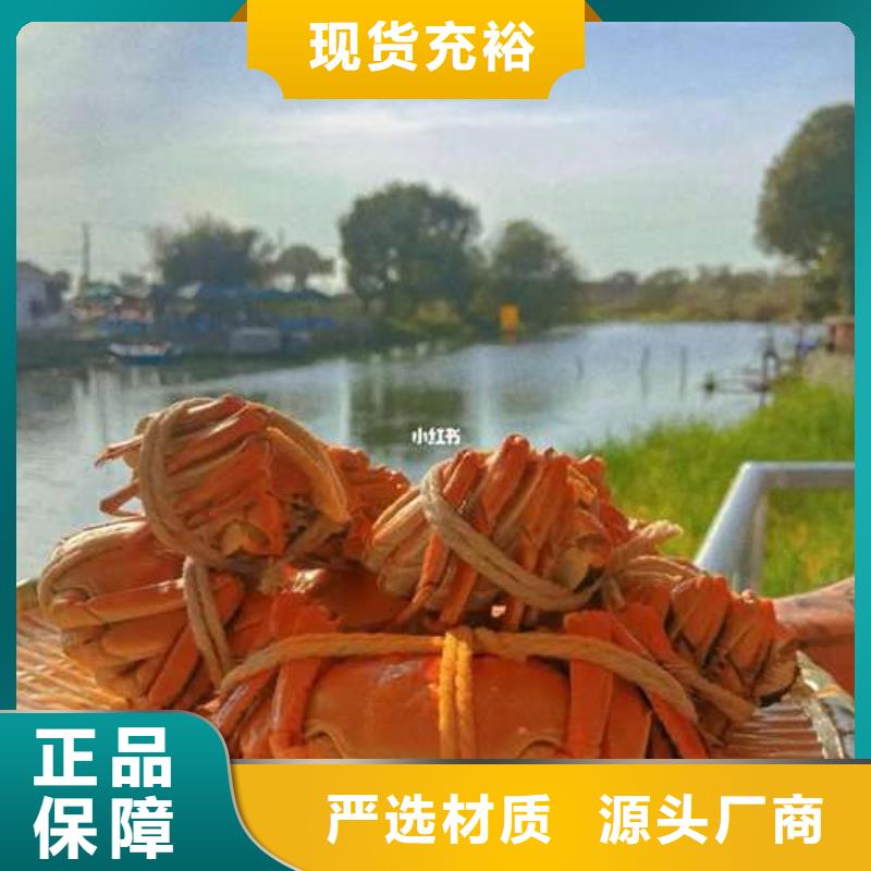 多种规格供您选择【螃蟹】,卖阳澄湖大闸蟹地方心又钱-阳澄湖镇莲花岛顾记大闸蟹经营部-产品视频