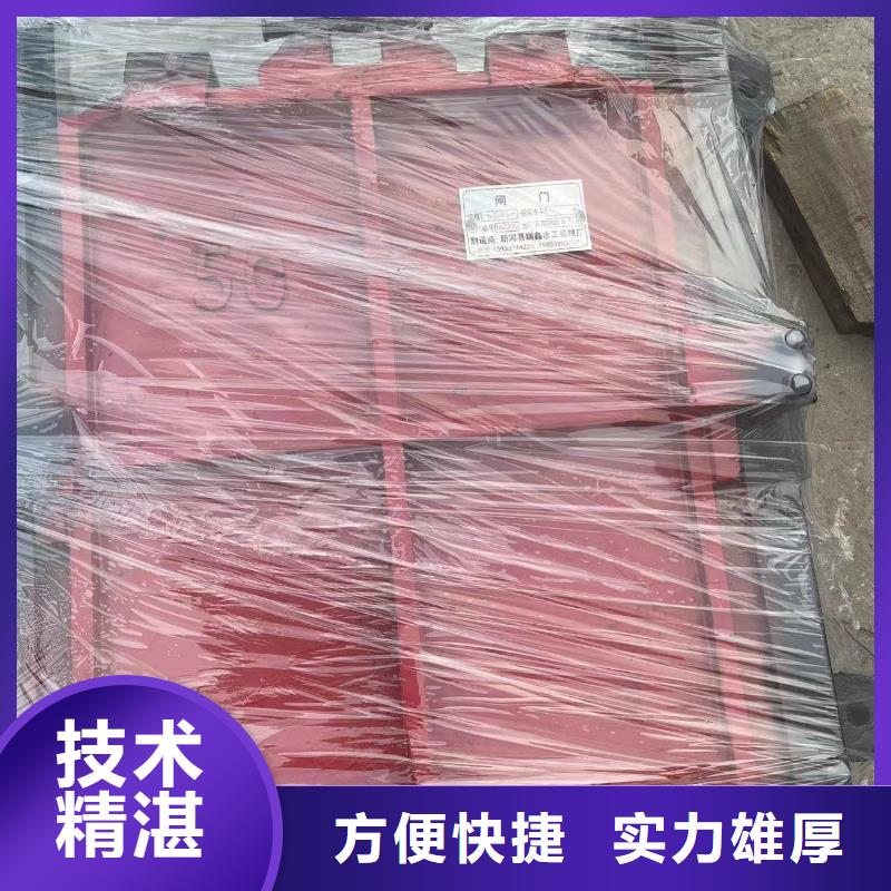 启闭机闸门-螺杆式闸门启闭机定制化