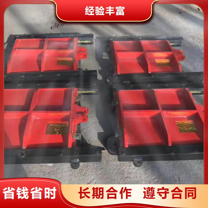 甄选：3米*2.5铸铁闸门供货商