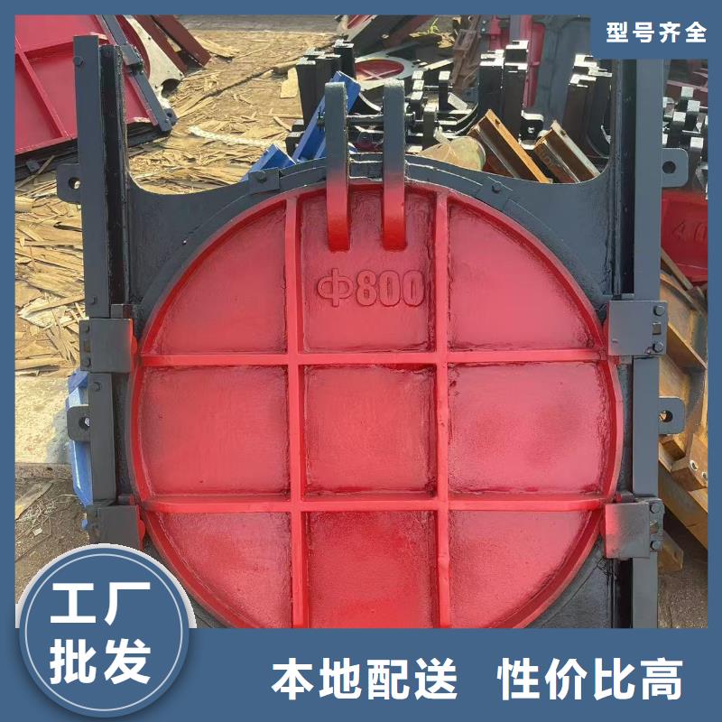 启闭机闸门-异形铸铁双向止水闸门实力雄厚