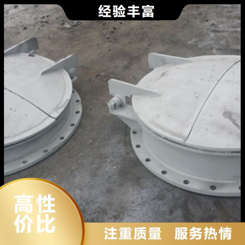 甄选:本地厂家值得信赖 拍门_【启闭机闸门】用心做品质