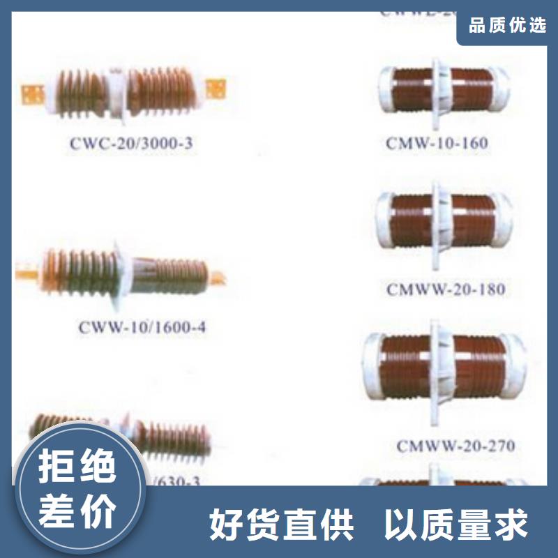 高压隔离开关绝缘子厂家直销