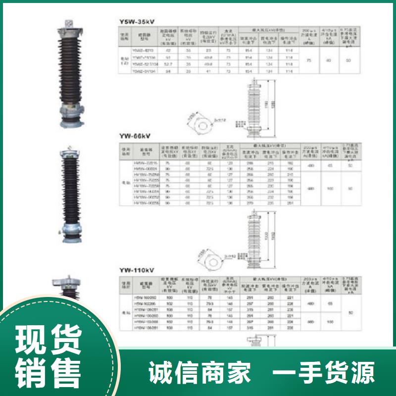 【品牌大厂家 避雷器,绝缘子定制批发】| 本地 货源