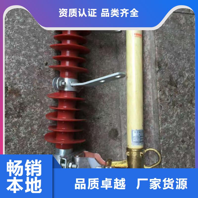 【熔断器】金属氧化物避雷器买的放心安兴用的舒心