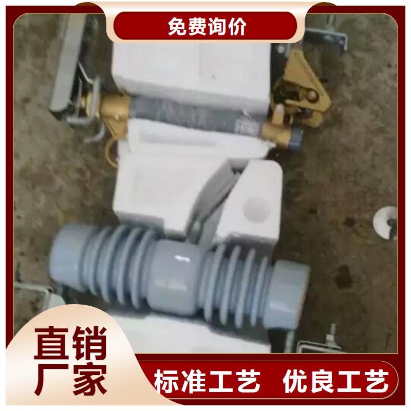 【熔断器】金属氧化物避雷器买的放心安兴用的舒心