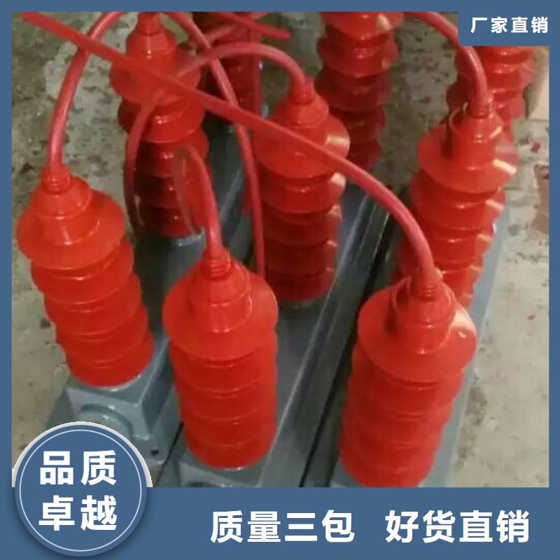 放心选购羿振选择大厂家事心过电压保护器-【真空断路器】拥有多家成功案例-(当地)生产厂家