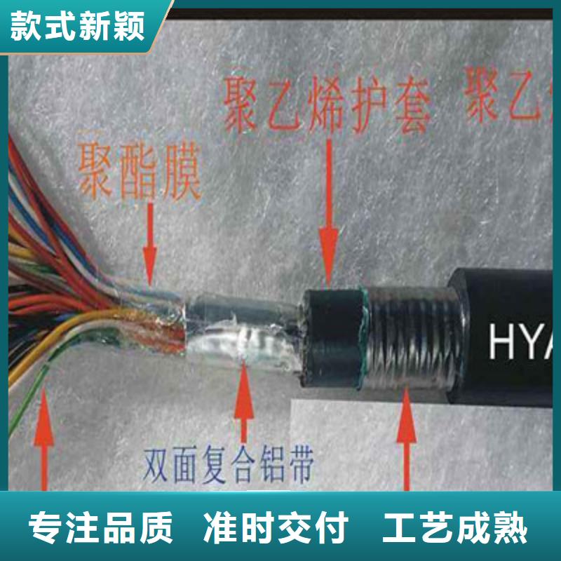 通信电缆-电缆生产厂家来图来样定制