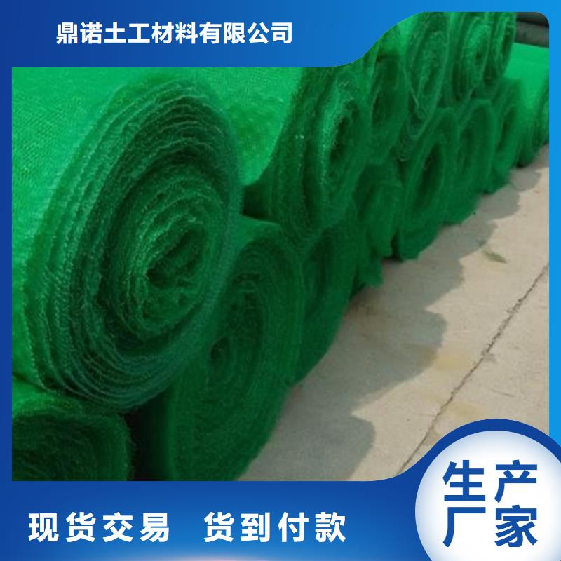<鼎诺>价格低【三维植被网】土工膜厂家大量现货-产品视频