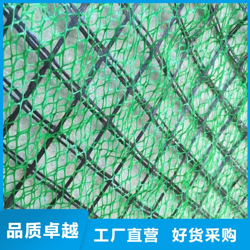 {鼎诺}:产地源头好货 三维植被网-【土工膜】重信誉厂家N年专注-《tjzdgg.com》