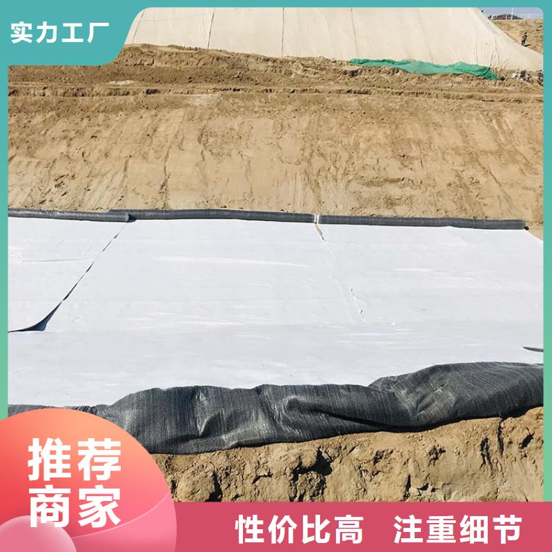 膨润土防水毯防渗土工膜通过国家检测