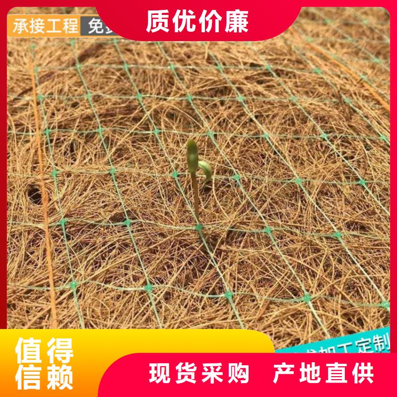 椰丝毯-土工膜厂家直销