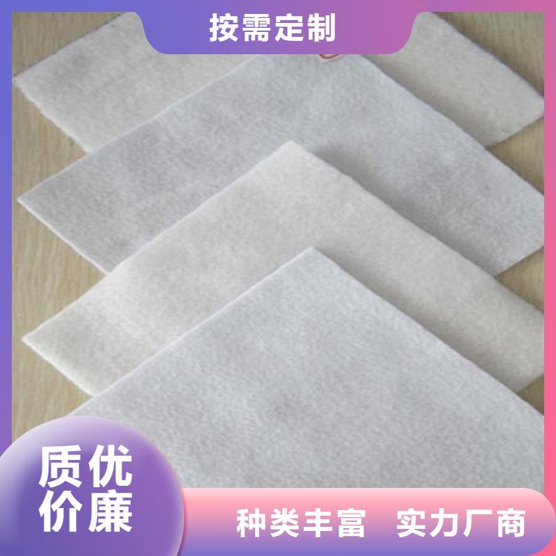土工布-蓄水板价格地道