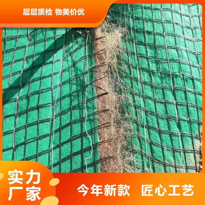 【椰丝毯】塑料土工格栅厂家型号齐全