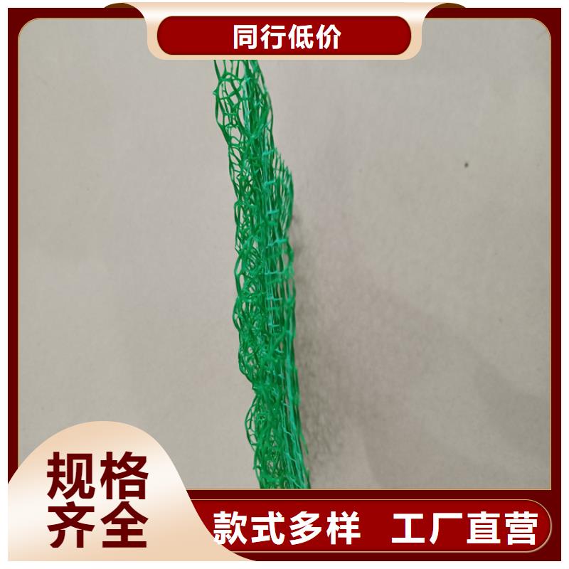 【三维植被网,通风降噪丝网选择我们没错】