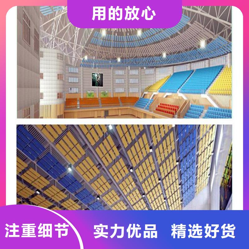 广东省佛山市白坭镇集团公司体育馆声学改造价格--2024最近方案/价格