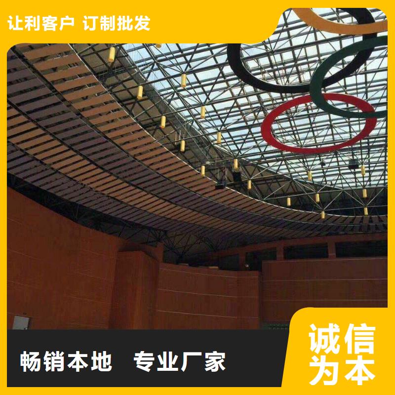 县集团公司体育馆吸音改造公司--2025近方案/价格