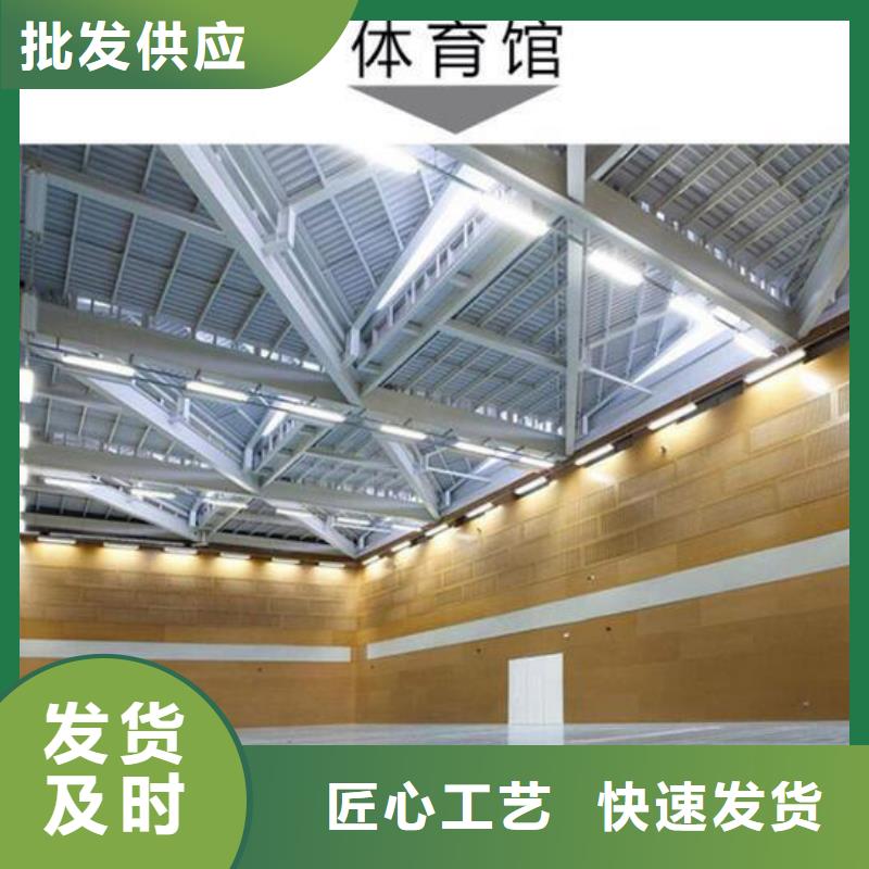 专业体育馆声学改造公司--2025近方案/价格