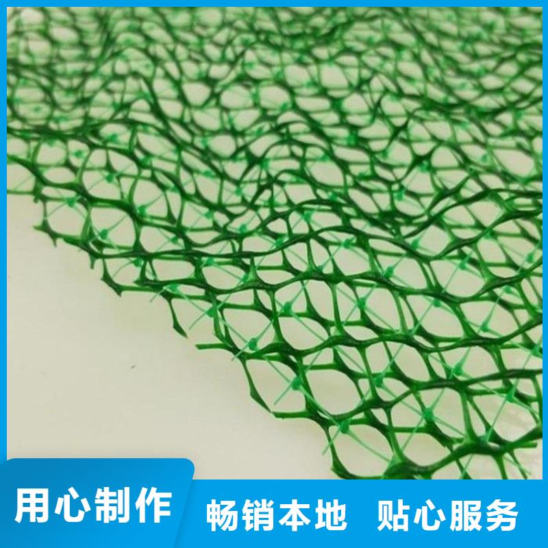 三维植被网聚丙烯单丝纤维厂家大量现货