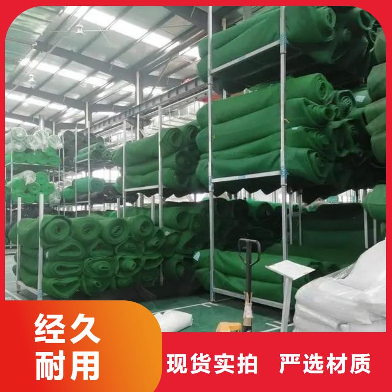 三维植被网仿钢塑钢纤维好厂家有担当
