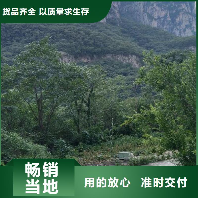 小型混凝土泵微型混凝土泵源头采购