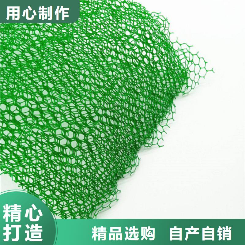 三维植被网塑料盲沟厂家直营
