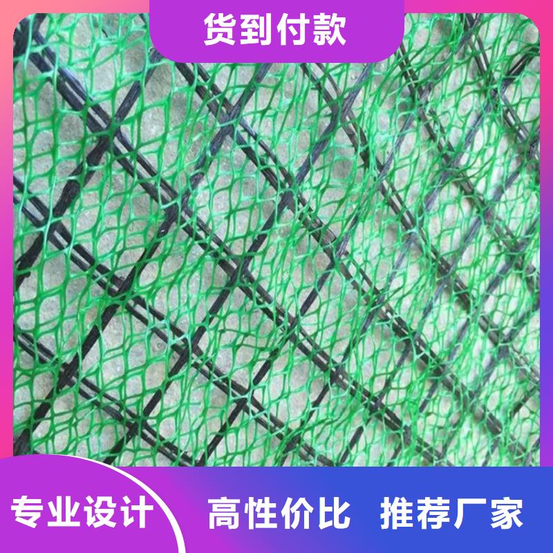 三维植被网塑料格栅专注细节专注品质