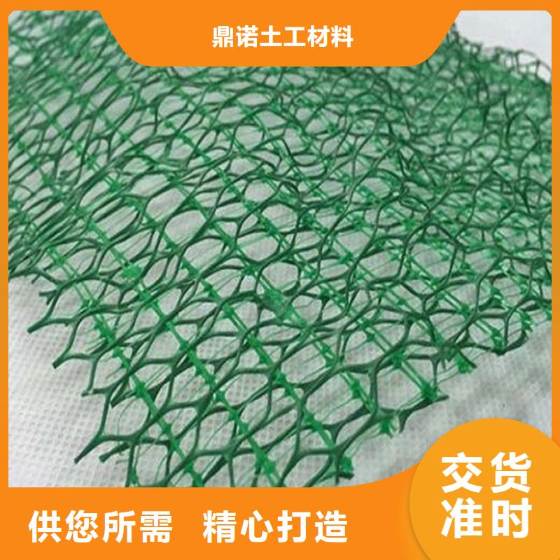 三维植被网土工格栅厂家直销省心省钱