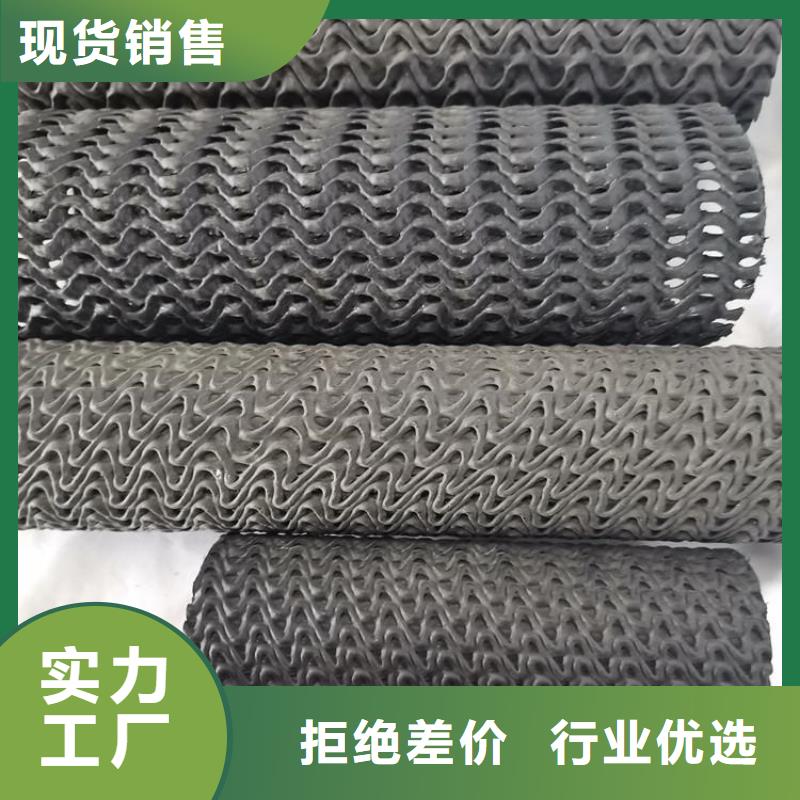 专业品质 硬式透水管-【土工格栅】技术先进