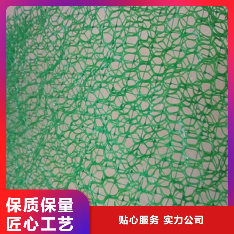 三维植被网_HDPE土工膜来图加工定制