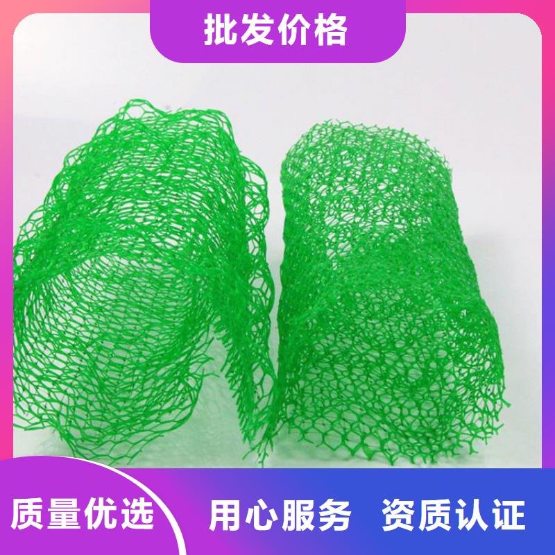 三维植被网【土工膜】出厂价