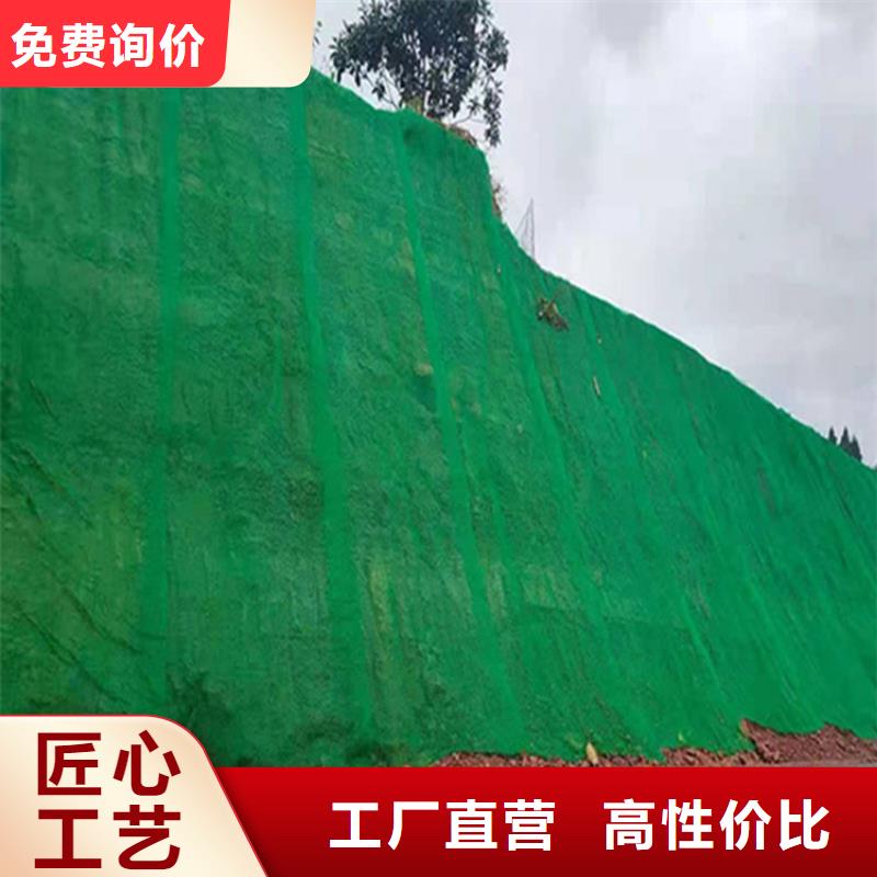 三维植被网_HDPE土工膜来图加工定制