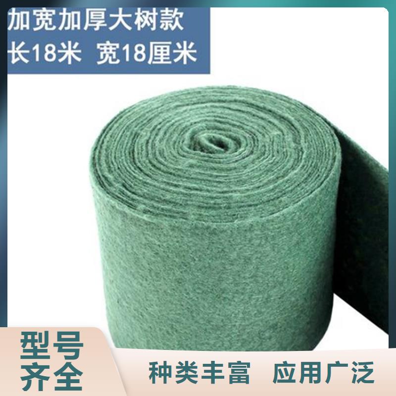 裹树布,HDPE土工膜价格实惠