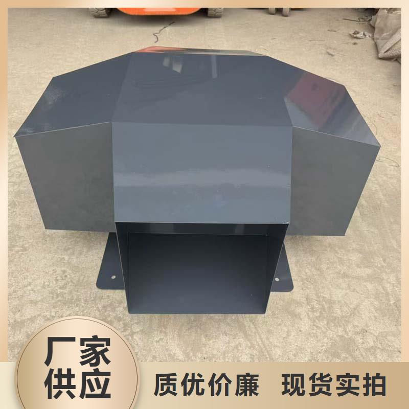 县防倒灌无动力风帽实力老厂