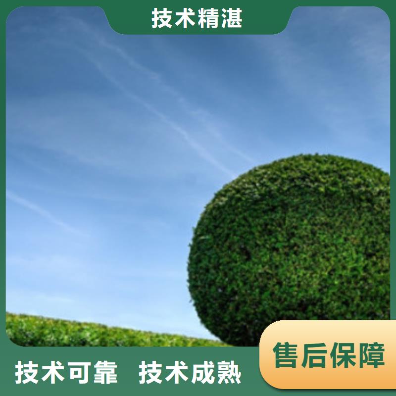 工程预算建筑项目分析承接