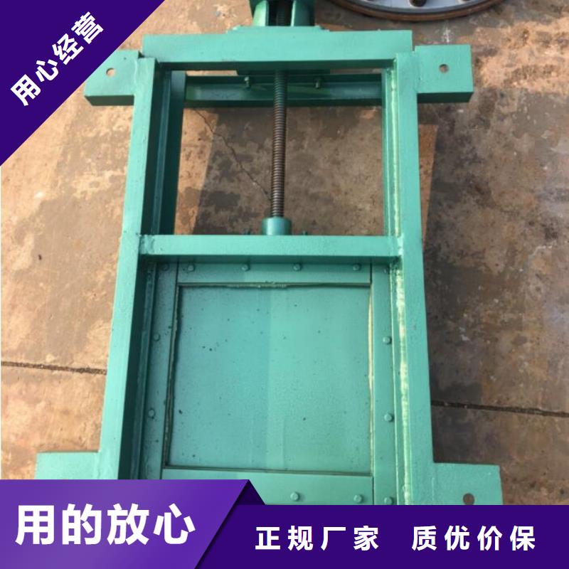 截流井闸门现货