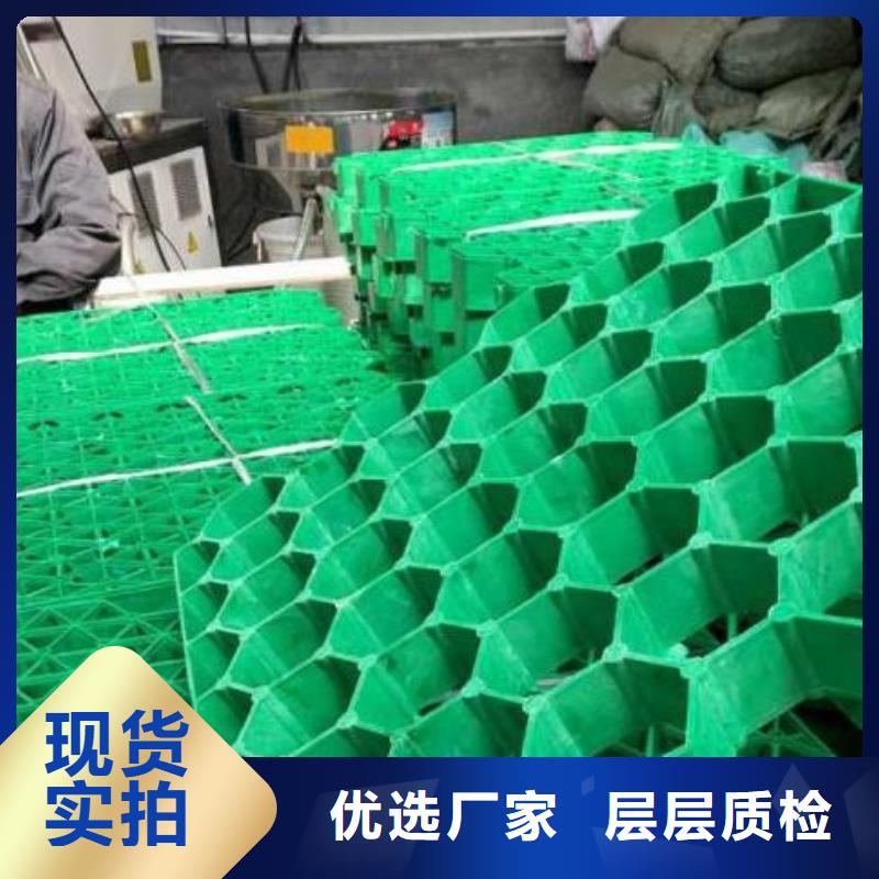 朋联优选:【一手货源 植草格-防护虹吸排水收集系统现货充足】