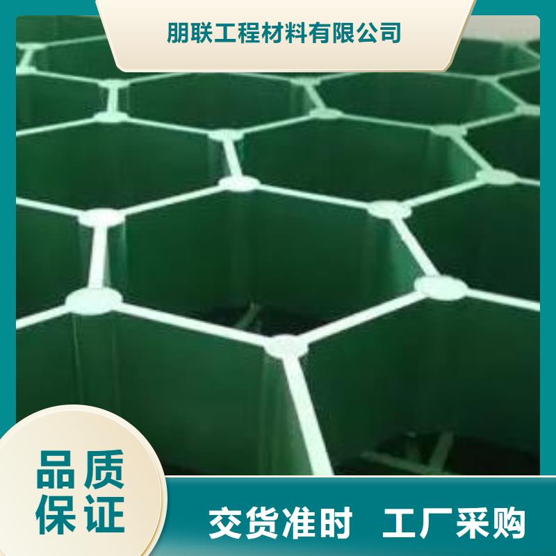 拥有核心技术优势【植草格】, 植草格生产安装