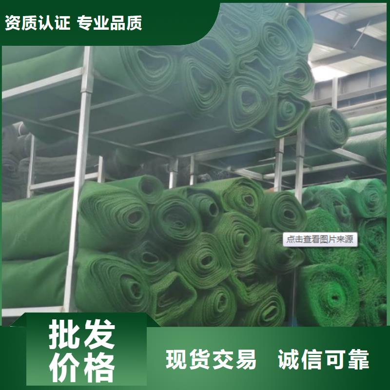 优选:【海量现货直销 三维植被网_植草格老品牌厂家】