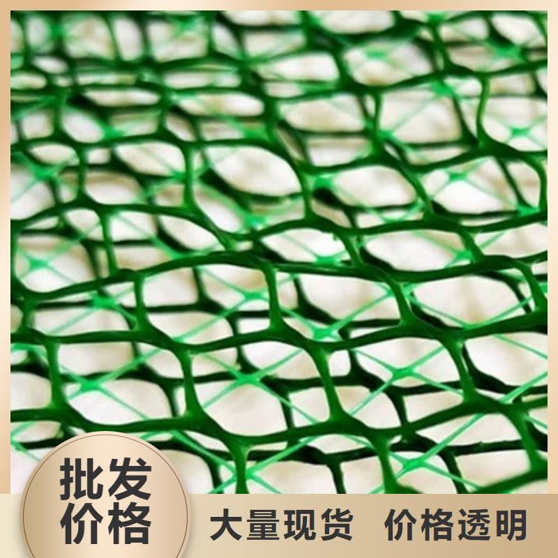 【朋联】【实力派厂家 三维植被网- 植草格厂家新品】