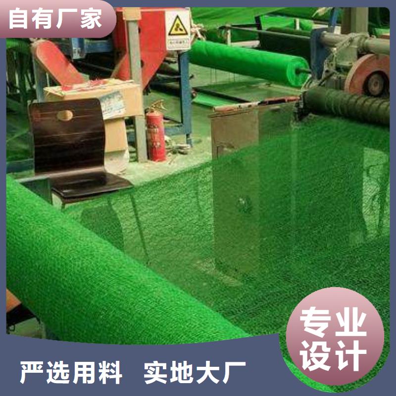 三维植被网化粪池水泥畅销本地