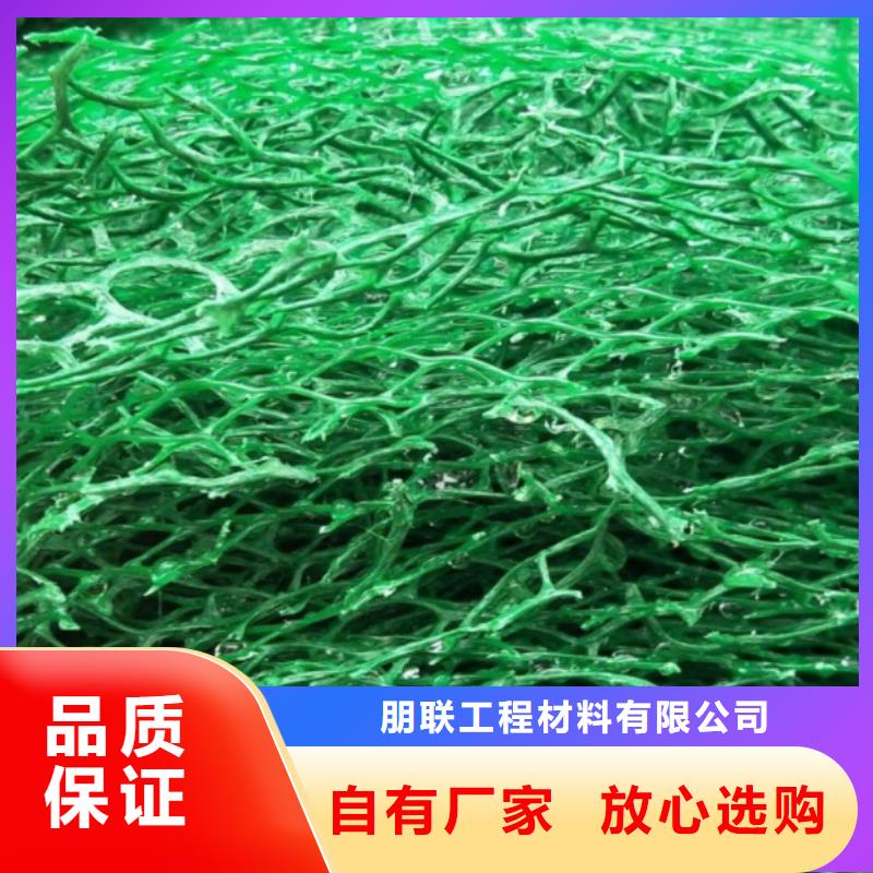 【朋联】【实力派厂家 三维植被网- 植草格厂家新品】